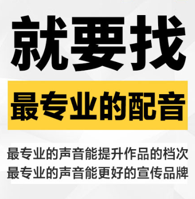 配音找大叔！让您省钱,省时,省心！