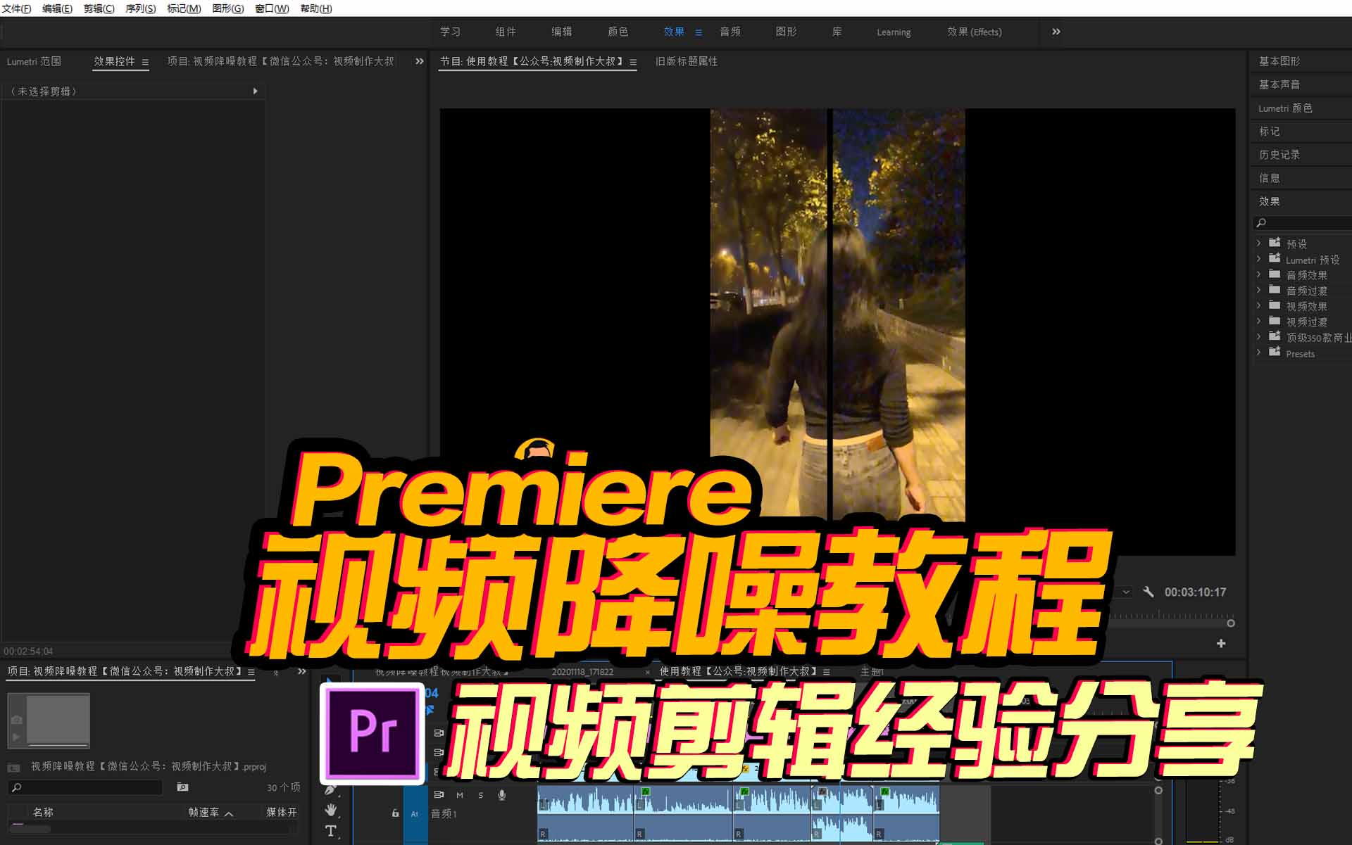 PR教程：视频降噪如何即快又好？消除噪点立竿见影！